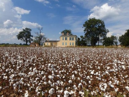 lakeport plantation lake village