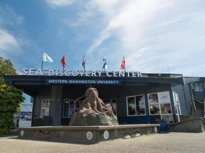 sea discovery center poulsbo
