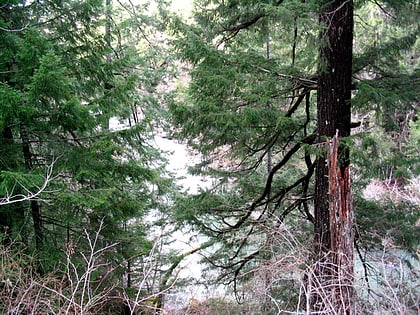 Park Stanowy Grizzly Creek Redwoods
