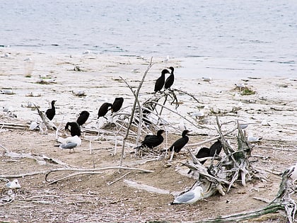 Gravel Island National Wildlife Refuge