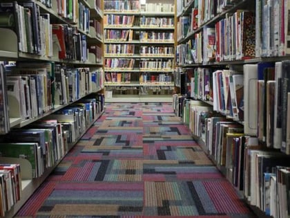 cloquet public library