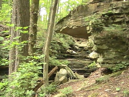 Buzzard Roost Trail