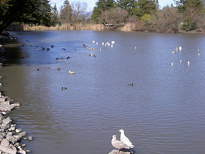 roberts lake rohnert park