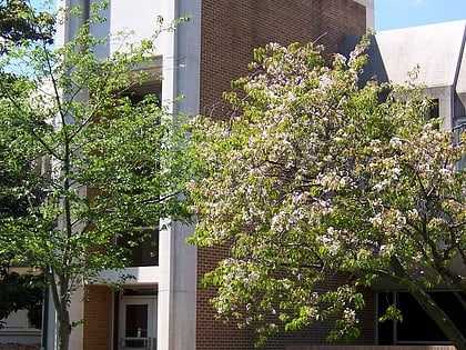 belk gymnasium charlotte