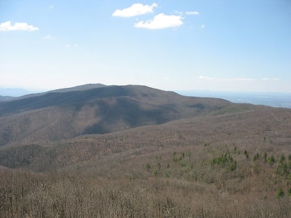 holston mountain foret nationale de cherokee