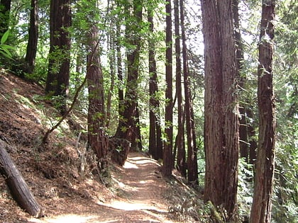 park regionalny redwood oakland