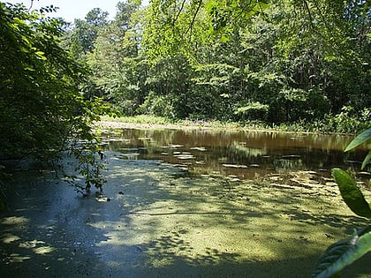 Park Stanowy Trap Pond