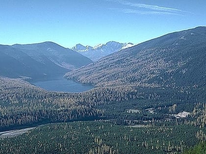 flathead national forest