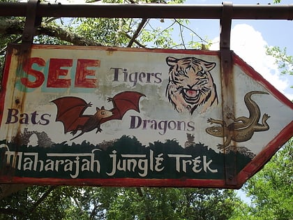 maharajah jungle trek walt disney world resort