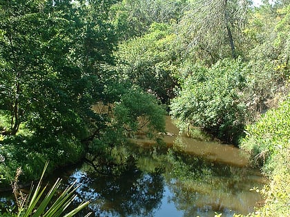 turkey creek sanctuary palm bay