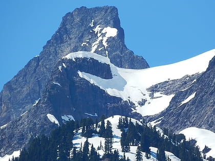 paul bunyans stump parc national des north cascades