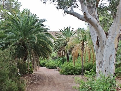 park stanowy boyce thompson arboretum superior