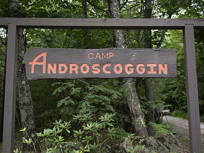 camp androscoggin wayne