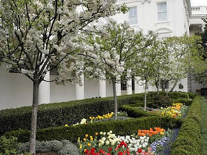 white house rose garden waszyngton