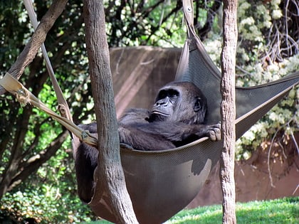 zoologico de atlanta