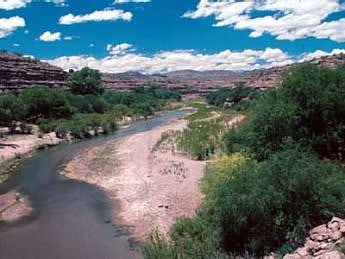 Gila Box Riparian National Conservation Area