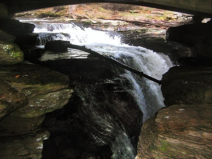 park stanowy waterfalls in ricketts glen benton