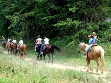 Smoky Mountain Deer Farm and Exotic Petting Zoo & Deer Farm Riding Stables