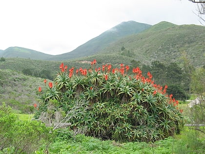 Montaña de Oro State Park