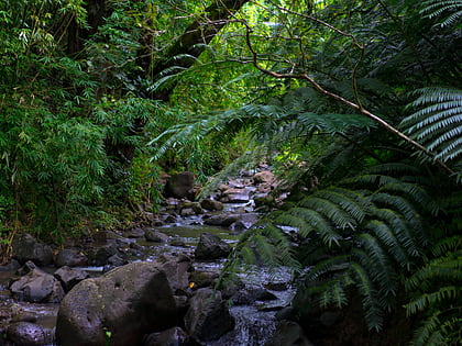 maunawili falls trail kailua