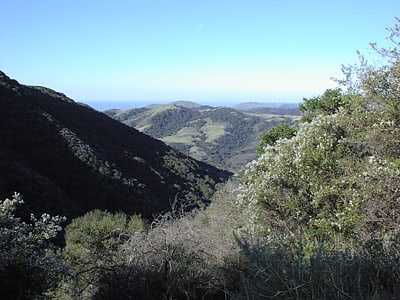 gaviota state park