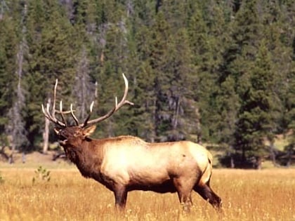 cecil d andrus wildlife management area