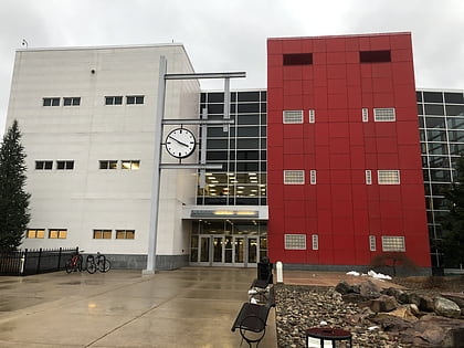 madigan library williamsport