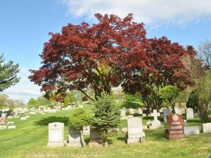 oakland cemetery yonkers