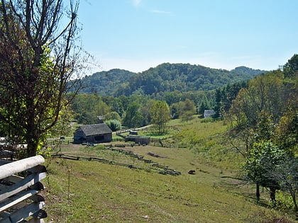 mountain homeplace paintsville