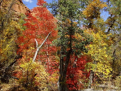 red rock secret mountain wilderness foret nationale de coconino