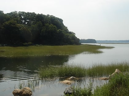 stony brook