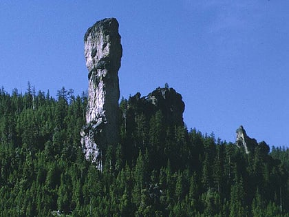 ochoco national forest