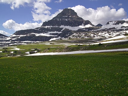 reynolds mountain parque nacional de los glaciares