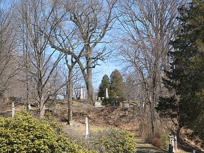 springfield cemetery