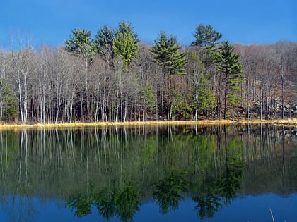 varden conservation area