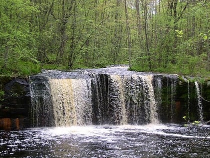 parc detat de banning