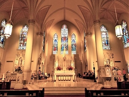 catedral de san francisco javier alexandria