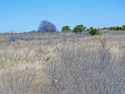 park stanowy heckscher long island