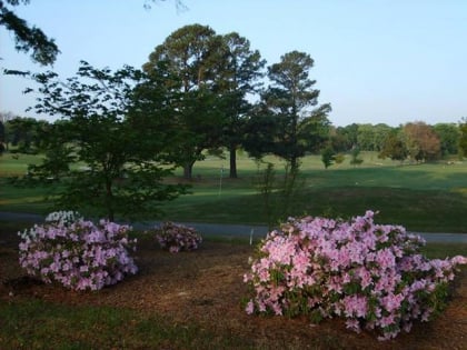 the links at galloway memphis