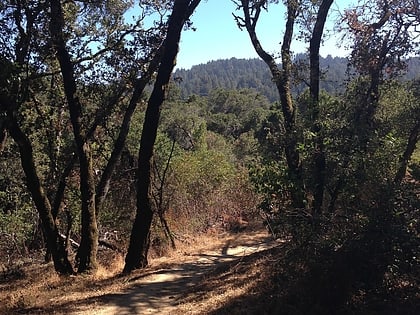 thornewood open space preserve