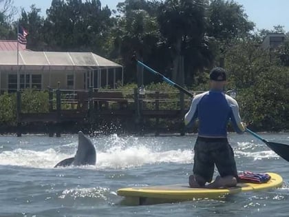 Paddleboard New Smyrna Beach