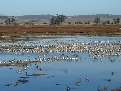 Elkhorn Slough National Estuarine Research Reserve