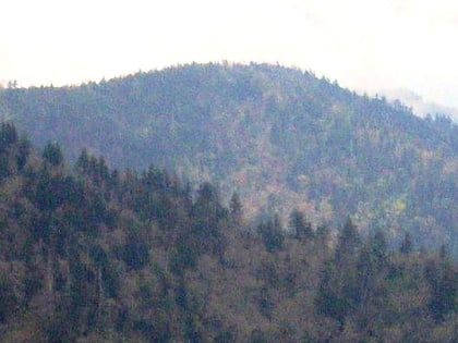 mount sequoyah great smoky mountains nationalpark