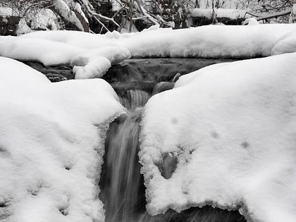 waterfall glen forest preserve