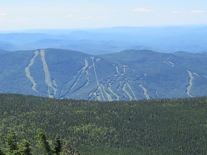 loon mountain foret nationale de white mountain