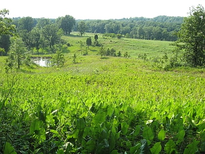 Rezerwat Stanowy Chaparral Prairie