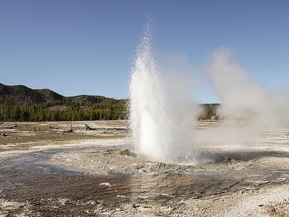jewel geyser yellowstone national park