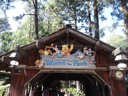 many adventures of winnie the pooh lake buena vista