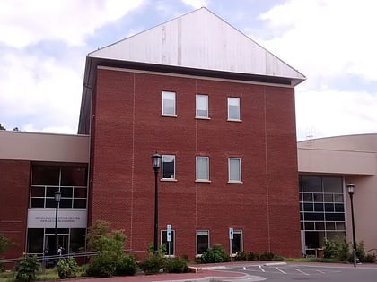 stone center chapel hill