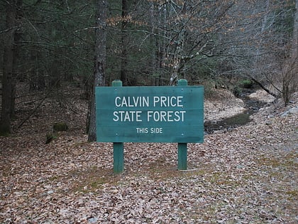 Calvin Price State Forest